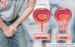 Phòng khám đa khoa Phượng Đỏ