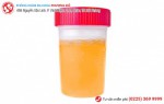 Phòng khám đa khoa Phượng Đỏ