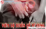 Phòng khám đa khoa Phượng Đỏ