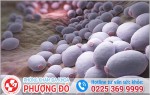 Phòng khám đa khoa Phượng Đỏ