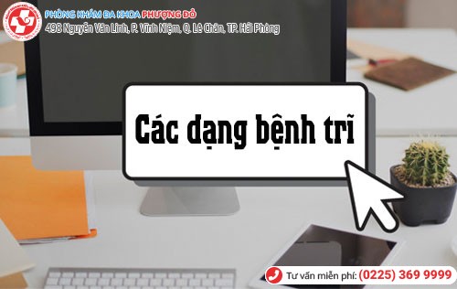 Các dạng bệnh trĩ