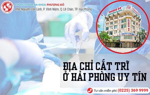 Phòng Khám Phượng Đỏ - địa chỉ cắt trĩ Quảng Ninh uy tín