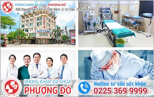 Khắc phục tình trạng đi ngoài ra máu tại Phượng Đỏ