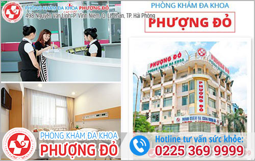 Phòng khám hậu môn - Đa khoa phượng đỏ nơi chất lượng y tế hiện hữu