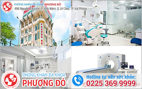 Phượng Đỏ - Địa Chỉ Chuyên Điều Trị Trĩ Cấp Độ 1