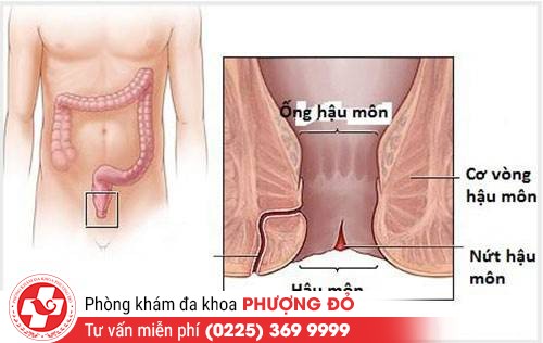 phong kham da khoa phuong do