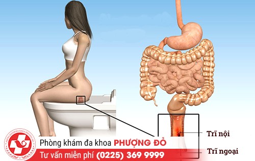 phong kham da khoa phuong do