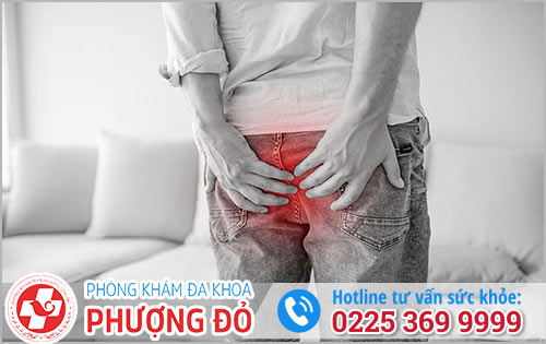 Hình ảnh bệnh trĩ - nhận biết bệnh chẩn đoán bệnh dễ dàng