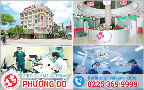 Địa Chỉ Điều Trị Bệnh Trĩ Uy Tín Chất Lượng Tại Hải Phòng