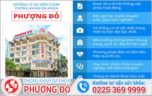 Hỗ trợ điều trị bệnh trĩ an toàn và chất lượng tại Đa Khoa Phượng Đỏ