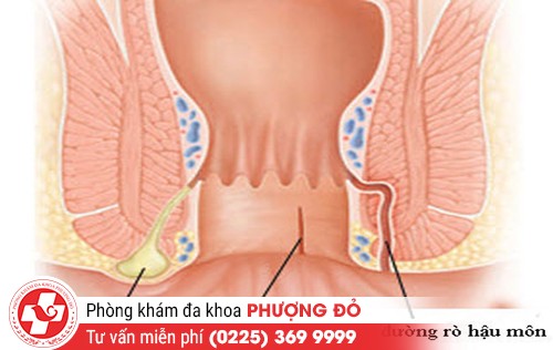 phong kham da khoa phuong do